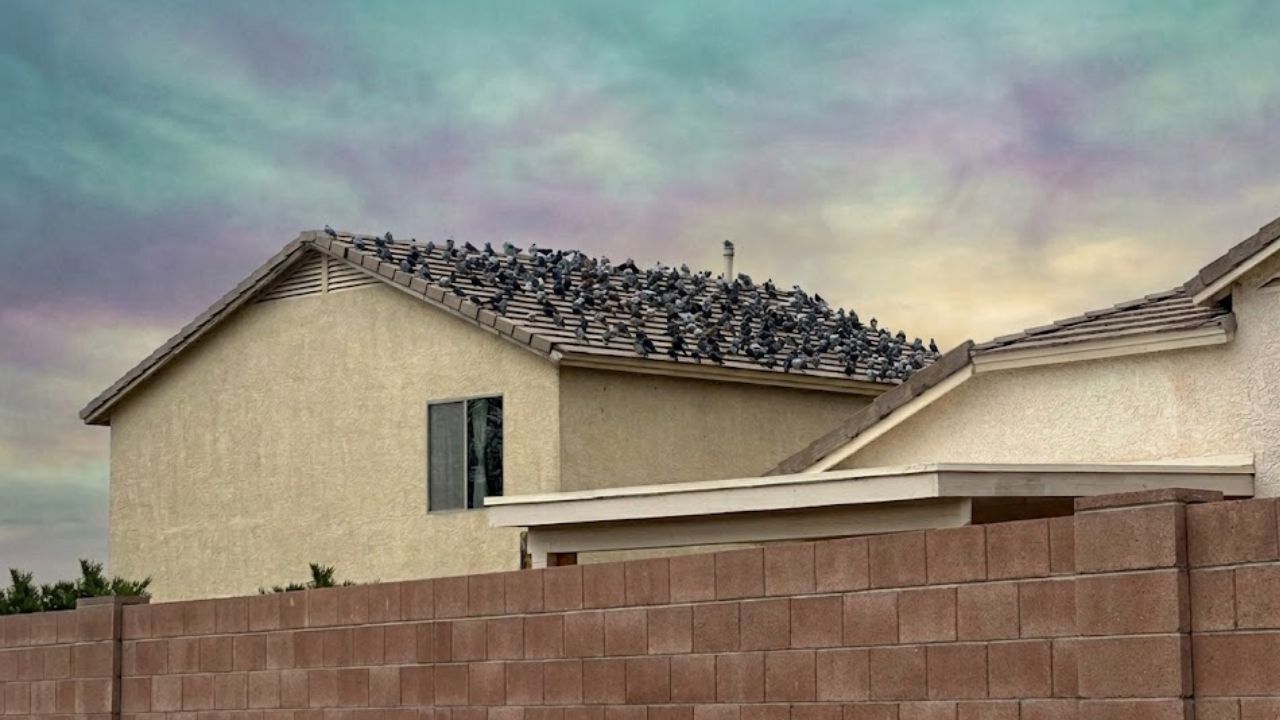 house in my neighborhood