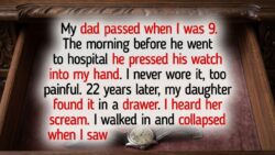 12 Moments That Prove Kindness and Compassion Can Travel Decades and Arrive Right on Time