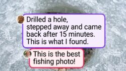 24 Stunning Photos That Prove Nature’s Magic Beats Any Human Design