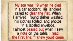 13 Moments That Prove Kindness and Compassion Hide in Quiet Corners of Life