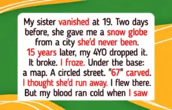 12 Stories That Prove Quiet Kindness Still Has a Voice, Even When the World Is Silent